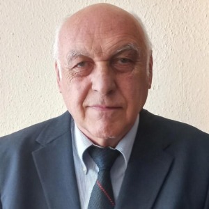 Speaker at Catalysis & Reaction Engineering 2026 - Tsitsishvili Vladimer