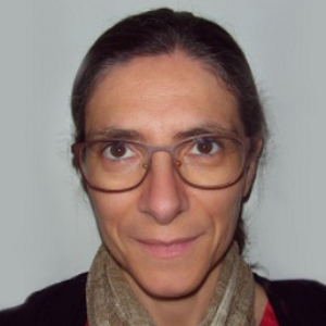 Valerie Meille, Speaker at Chemical Engineering Conferences